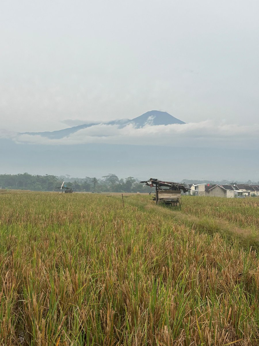 Adriansyah tweet media