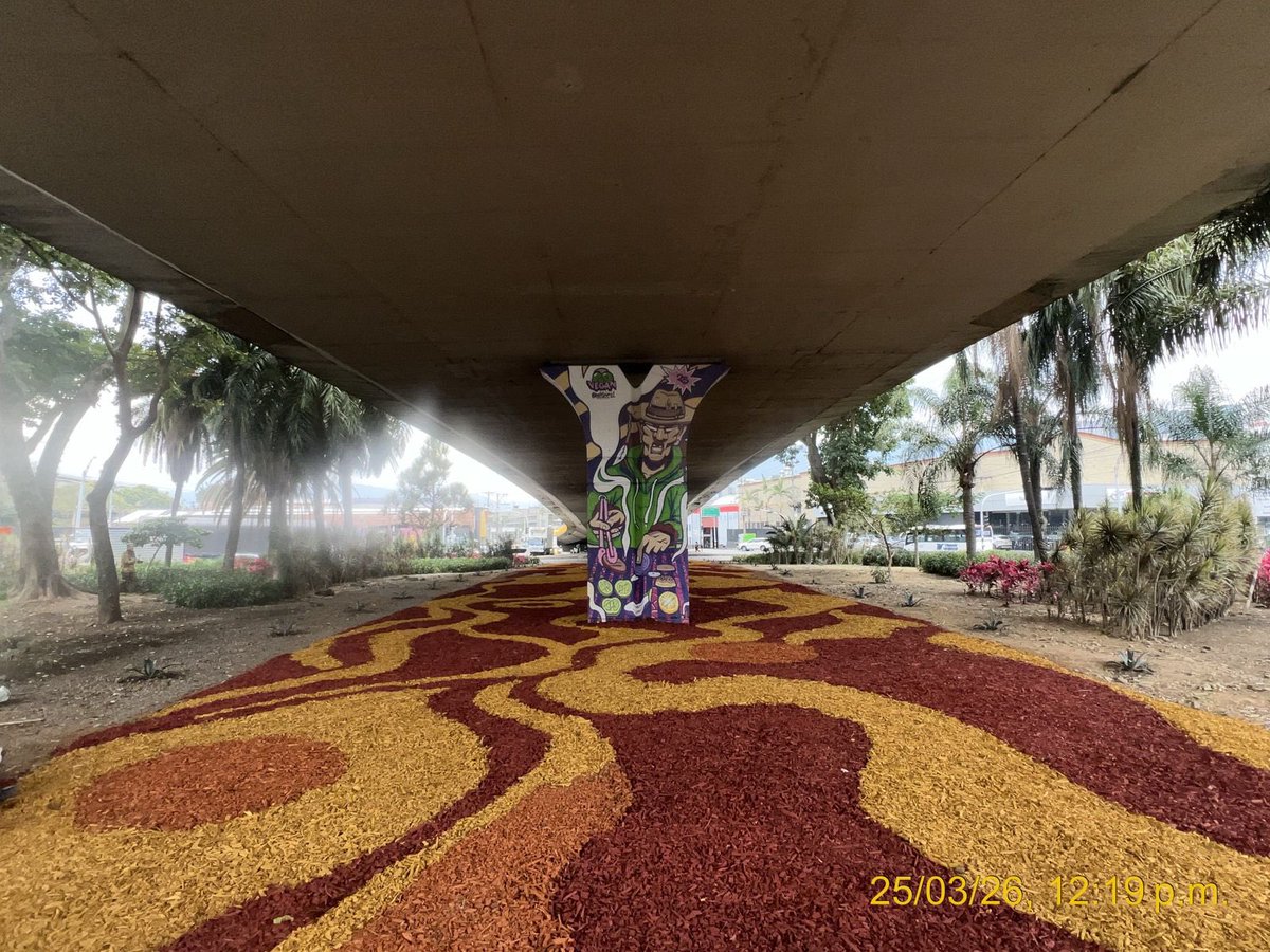 Fico Gutiérrez tweet media