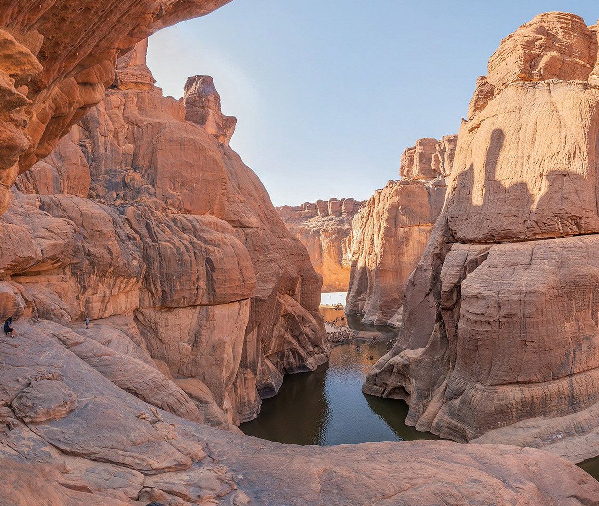 _Aetheron's tweet photo. Guelta d’Archei is one of the most impressive and photogenic places in the Sahara — a permanent oasis in the middle of the world’s most arid desert. Located in the Ennedi Massif, northeastern Chad, Central Africa, it is a deep canyon where groundwater constantly emerges, creating a lush oasis surrounded by extreme rocky desert.
Access is extremely remote, it requires several days of 4x4 travel from Faya-Largeau or N’Djamena. There are no paved roads or tourist infrastructure.
It is home to one of the last significant populations of desert crocodiles, a subspecies perfectly adapted to the Sahara. It is estimated that fewer than 100 individuals remain in the entire Ennedi Massif.
The area is also inhabited by camels, gazelles, desert foxes, and numerous bird species. On the walls of nearby canyons, there are important prehistoric rock paintings dating back 5,000 to 8,000 years, depicting elephants, giraffes, cattle, and hunting scenes — clear evidence that the Sahara was once much wetter.