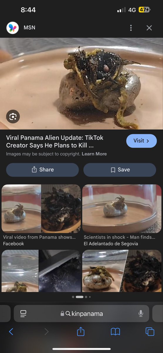 FuckTips tweet media