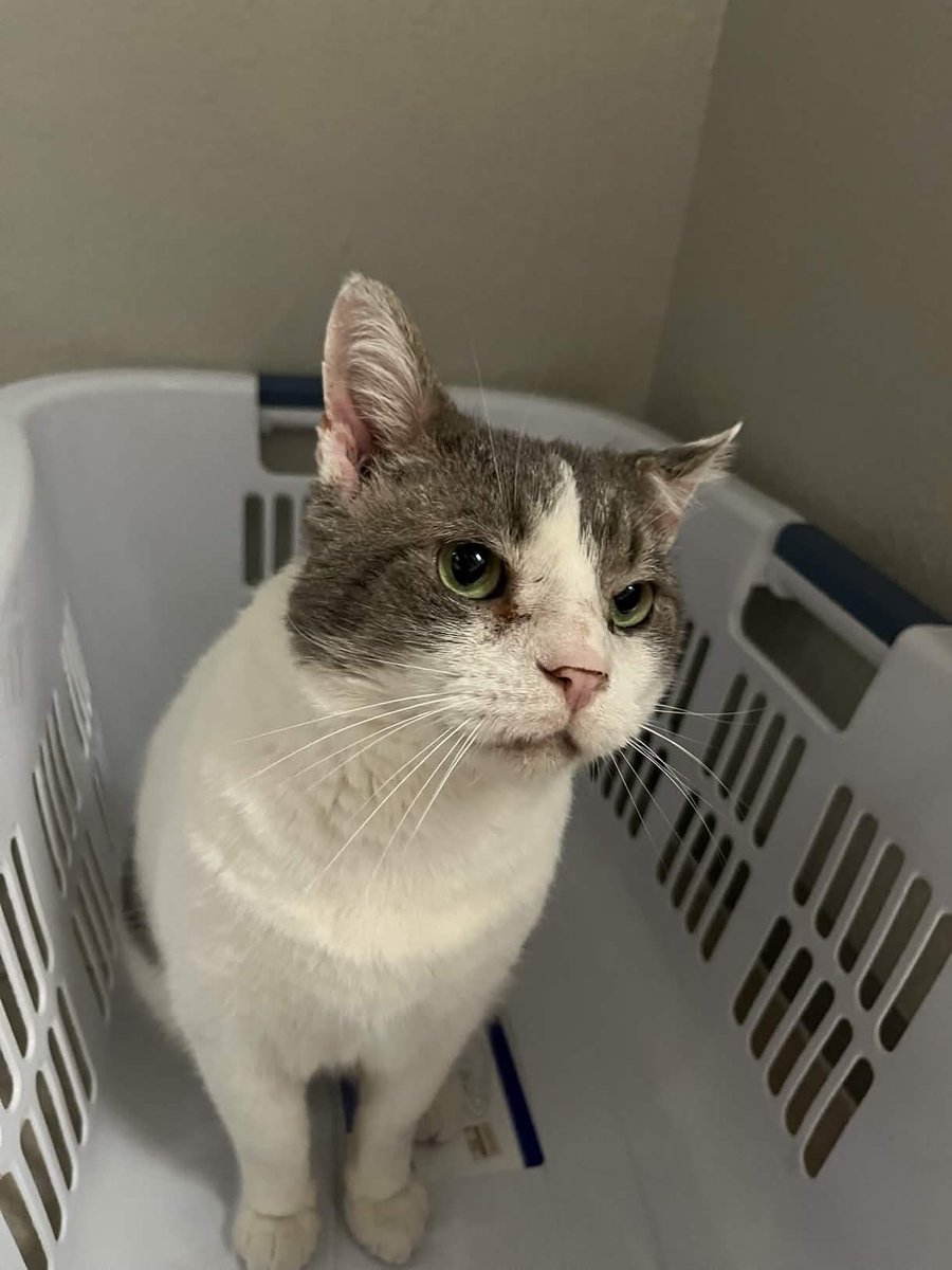 Absolute Budy's And Pal's tweet media