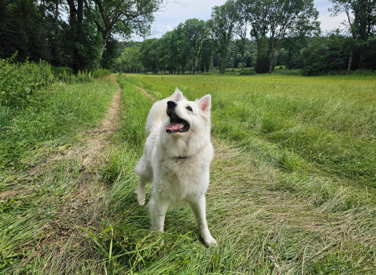 proplanta.de tweet media