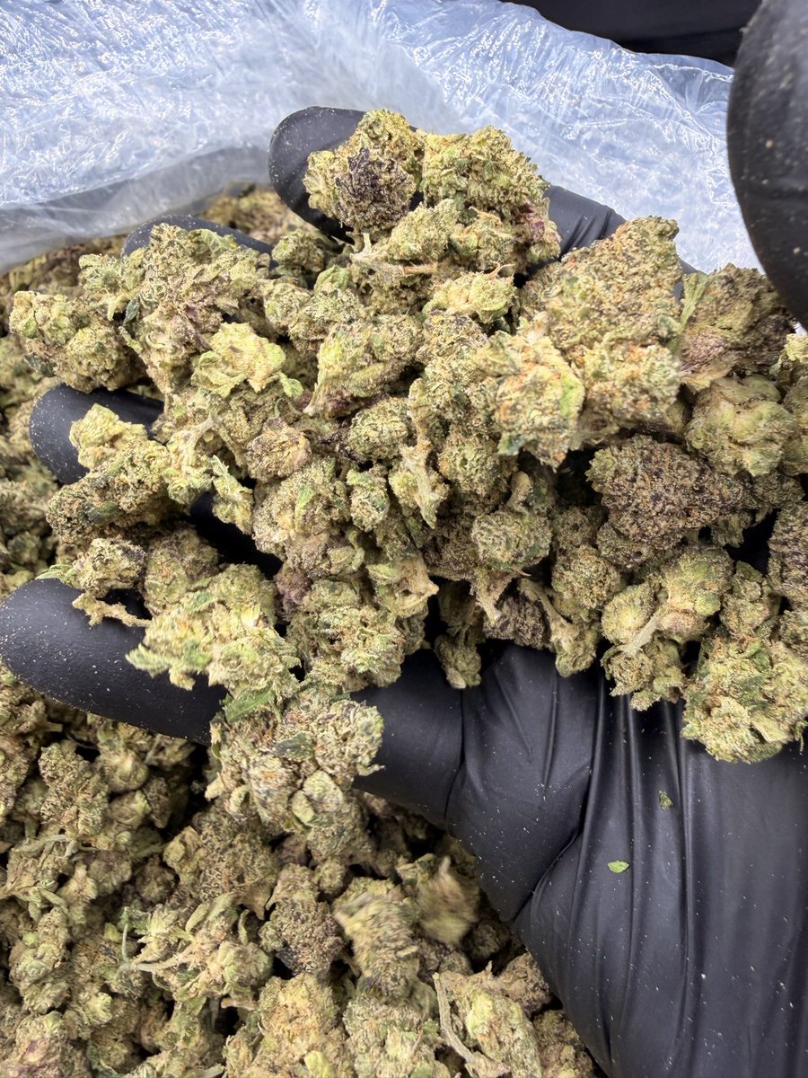 doobie_exotics's tweet photo. Bubblegum Horchata indoor exotic candy smalls IYKYK https://t.co/1yZYJzhiYu