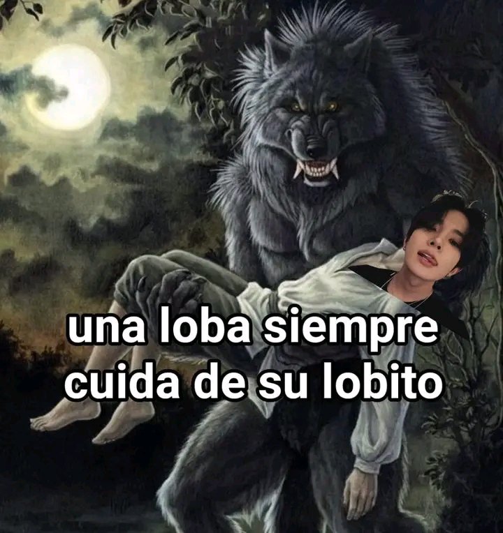 hany ⋆ ENHYPEN IS 7 tweet media