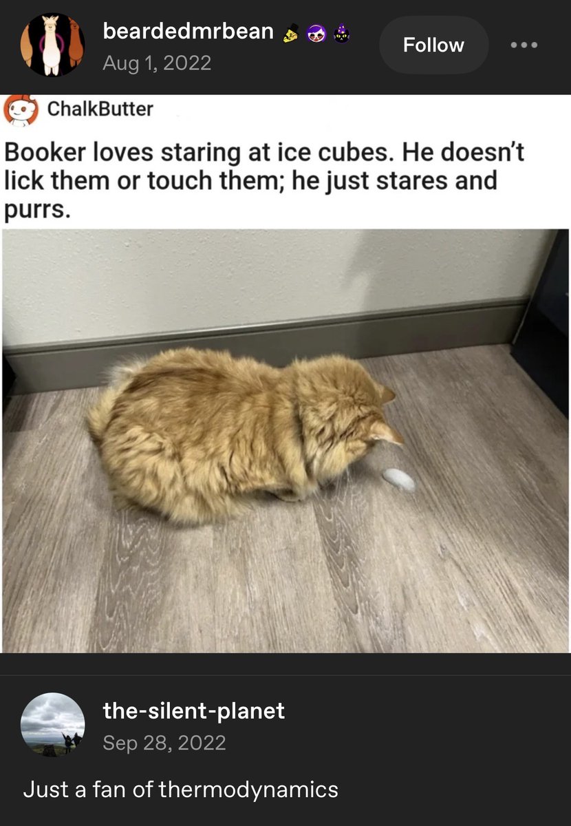 Images AI Could Never Recreate tweet media