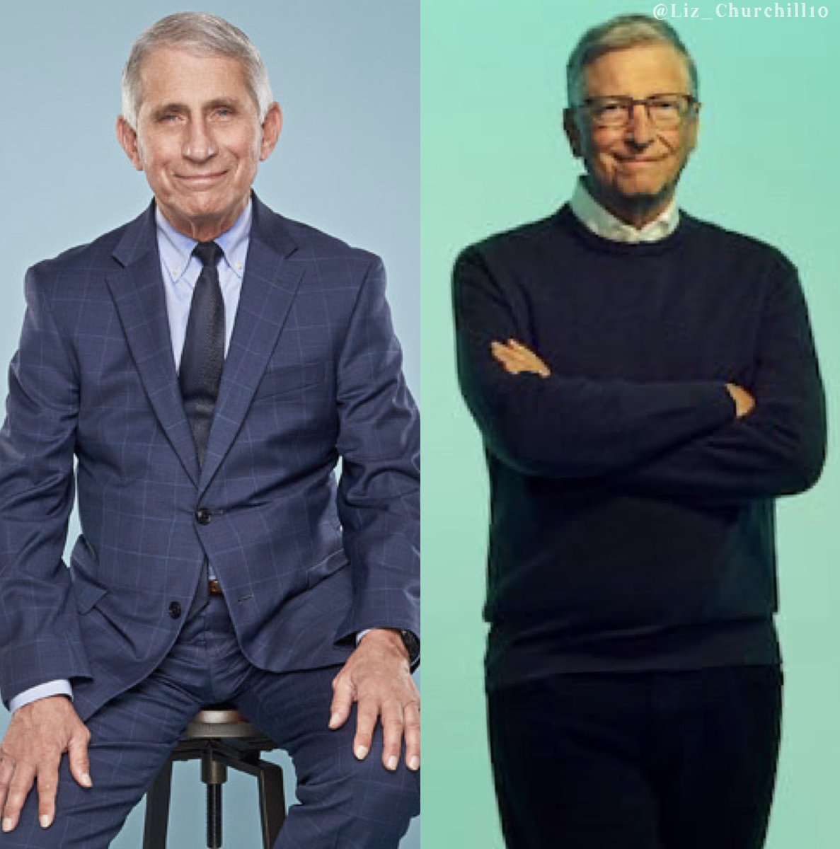 Liz Churchill tweet media