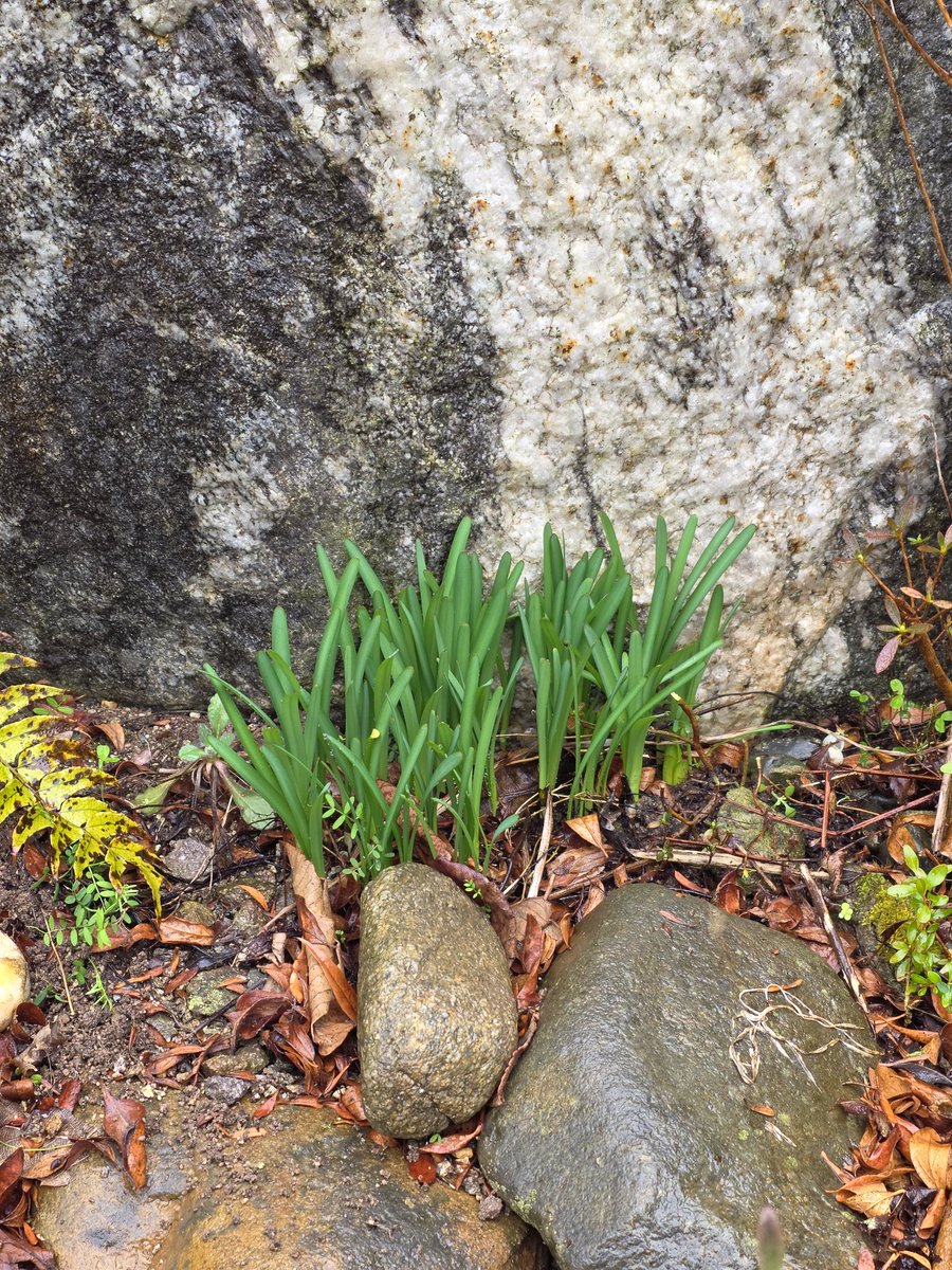 국민의힘 전남도당 위원장 tweet media