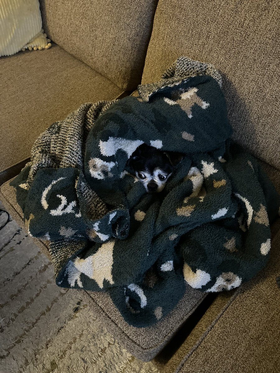 waria ☭ 🤌 THE RETURN tweet media