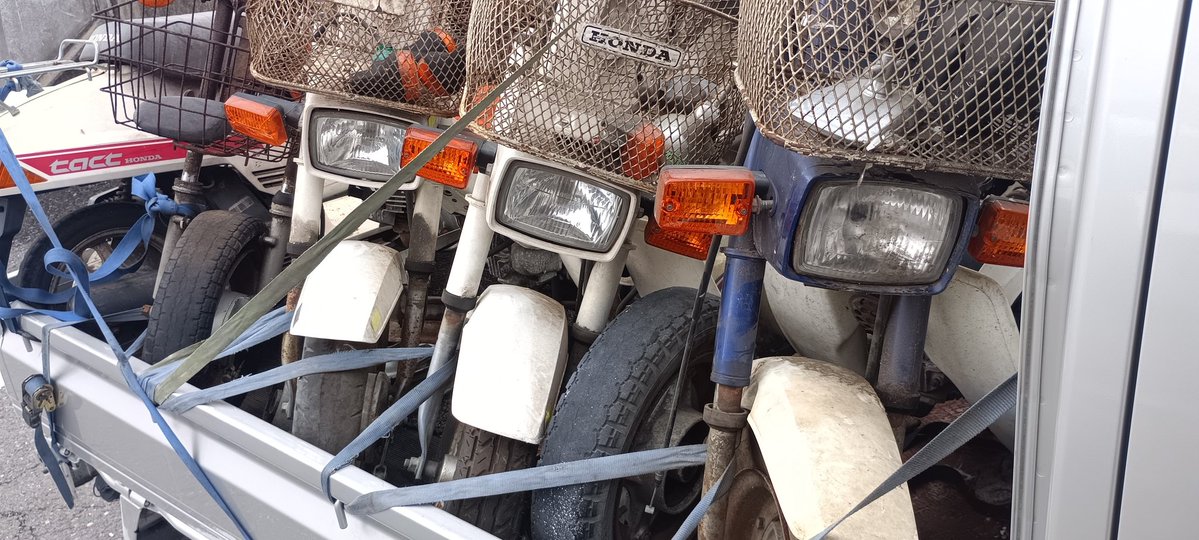 かっさん! tweet media