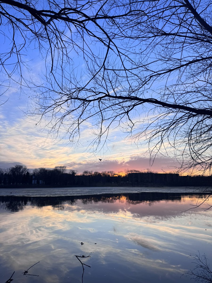 La_de_los_hilos. tweet media