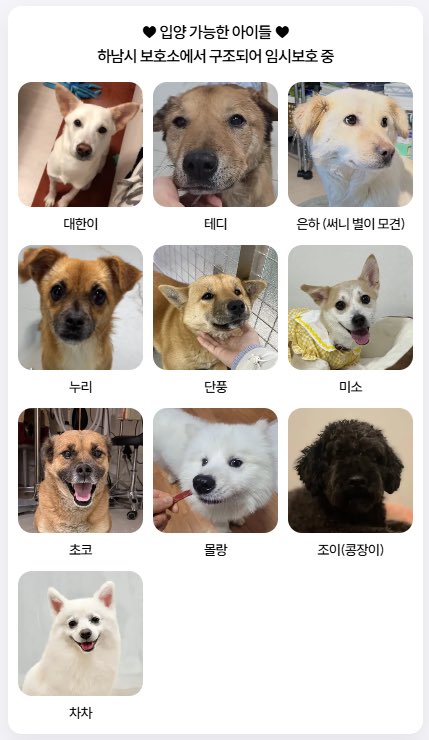 하남시 보호소 입양홍보 tweet media