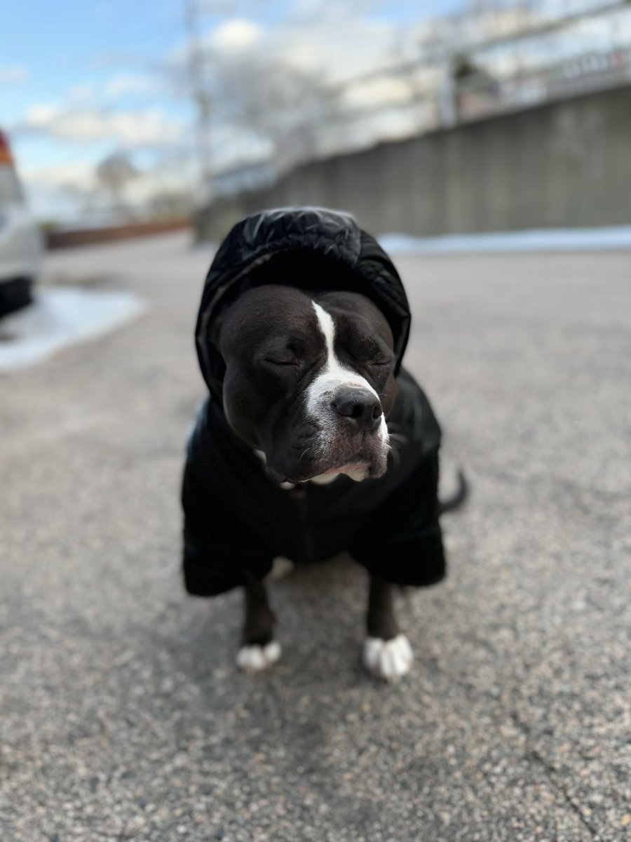 Michael 🩻 tweet media