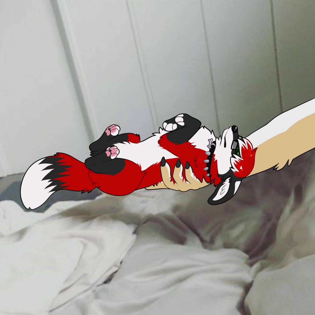 literally just a worm (SC+ CFZ) tweet media