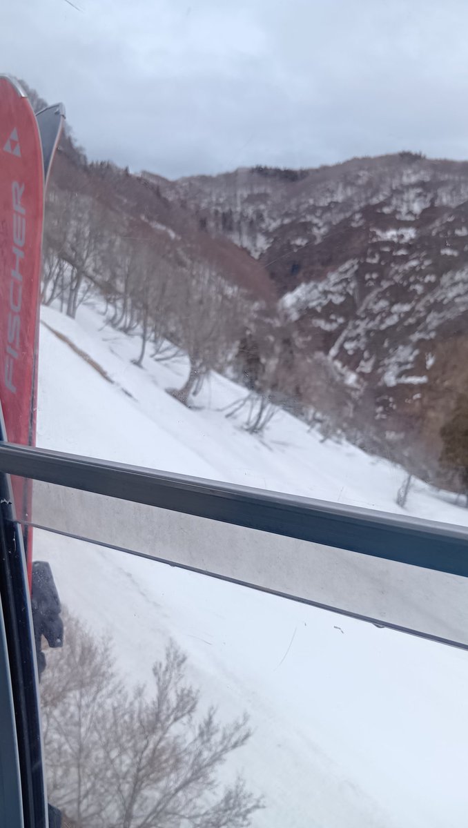 雨予報だったけど止んで良かった、また降るだろうけど 