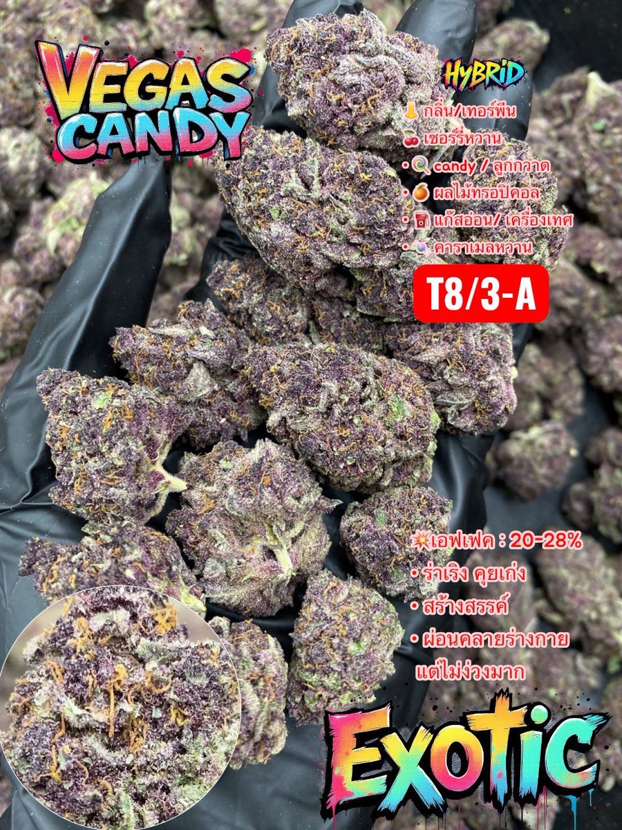 JADEGARDEN420's tweet photo. 🍊VEGAS CANDY🍒🍭
งาน Home Grown 🇹🇭🇹🇭🇹🇭
มีมาไม่เยอะครับ หอมเหนียว ฉ่ำๆเลย
Mix Size

💥กรุงเทพ-ปริมณฑล มีบริการจัดส่งLalamove🚚💨

สนใจสั่งซื้อกดลิงก์📌🔥
https://t.co/dOGTYNh1oc

#กัญชา #กัญชาภูเก็ต #กัญชาสุราษฎร์ธานี #กัญชาสงขลา #กัญชานครศรีธรรมราช #กัญชากระบี่ #กัญชาหาดใหญ่ https://t.co/chXVPvE3d0