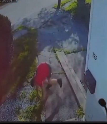 ShelliMarie tweet media