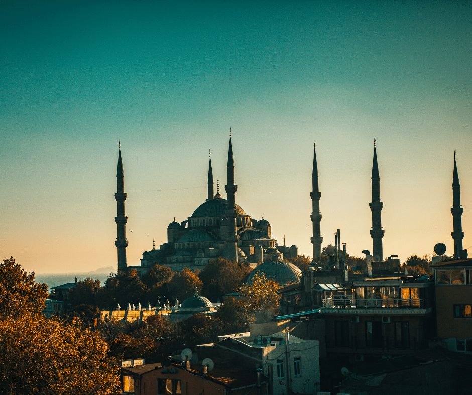 Tulip Publishing tweet media