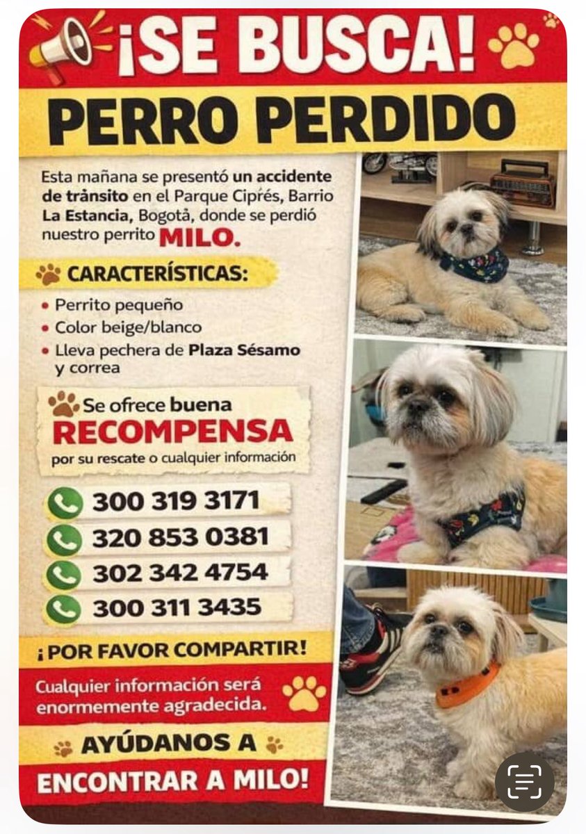 MÓNICA RODRÍGUEZ 🐤 tweet media