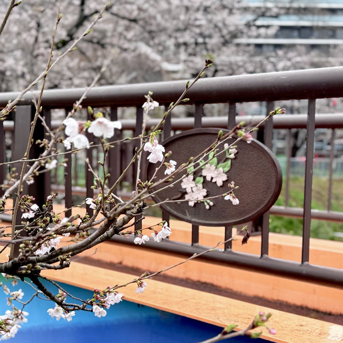 名古屋エコール(エコなご)【公式】文房具事務機器卸 tweet media