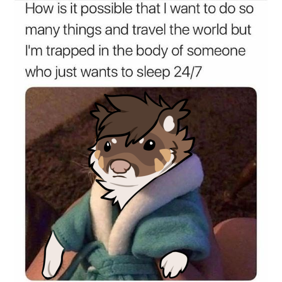 literally just a worm (SC+ CFZ) tweet media