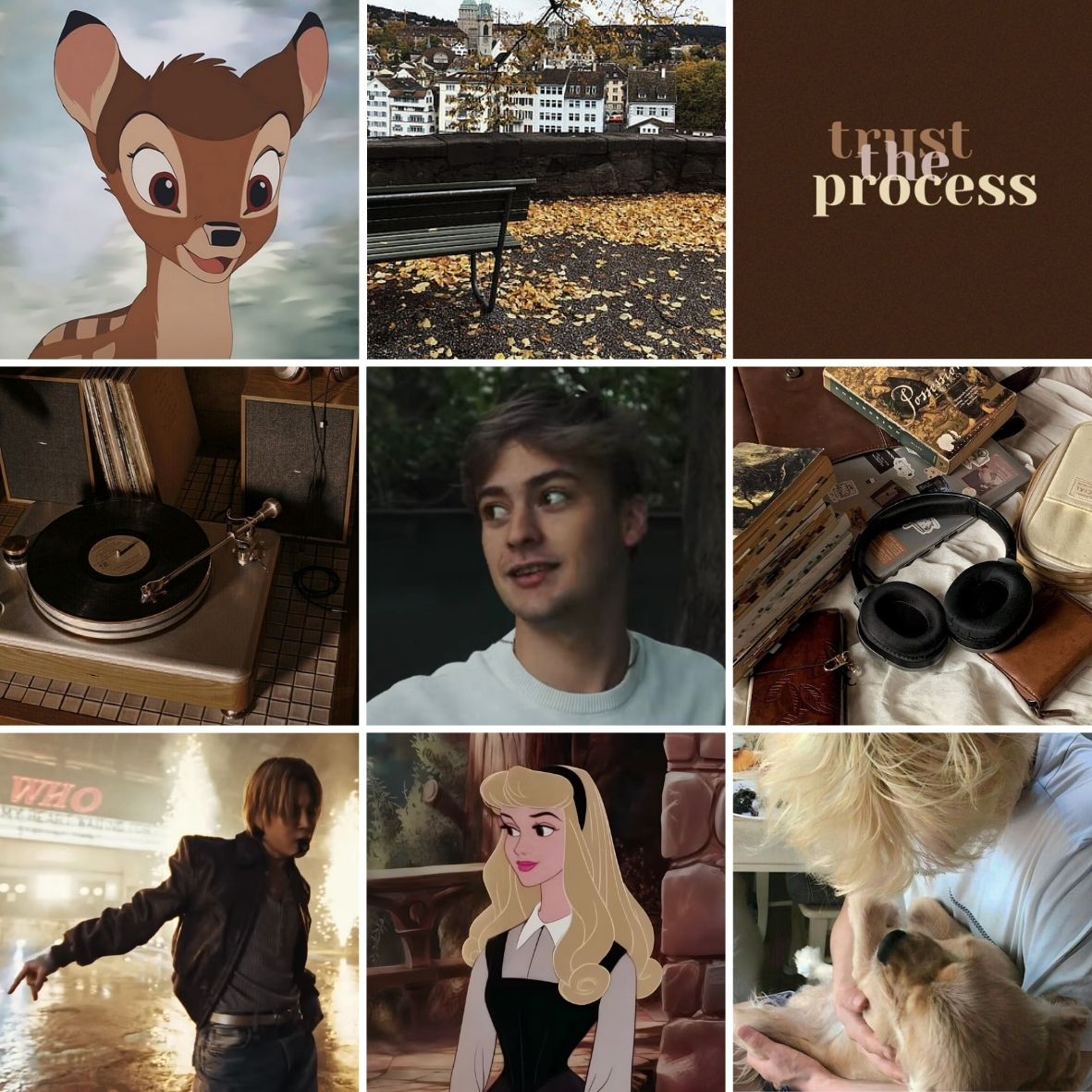 poli ✿ tweet media