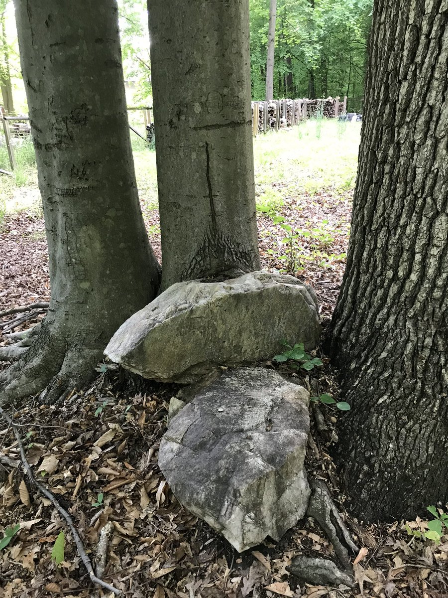 Day 6 of ∞ posting the Throne of the Forest King (with and without beer).  If you thought I was done posting this or ranting about <a href="/Farm_Archive/">Farm Archive</a>, think again!