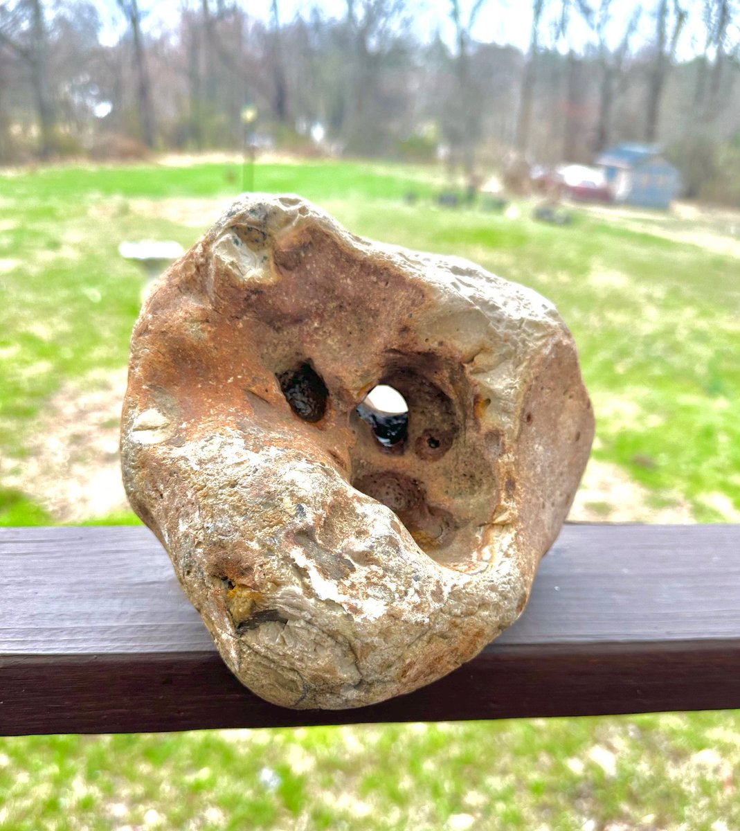 Hey Zeús tweet media