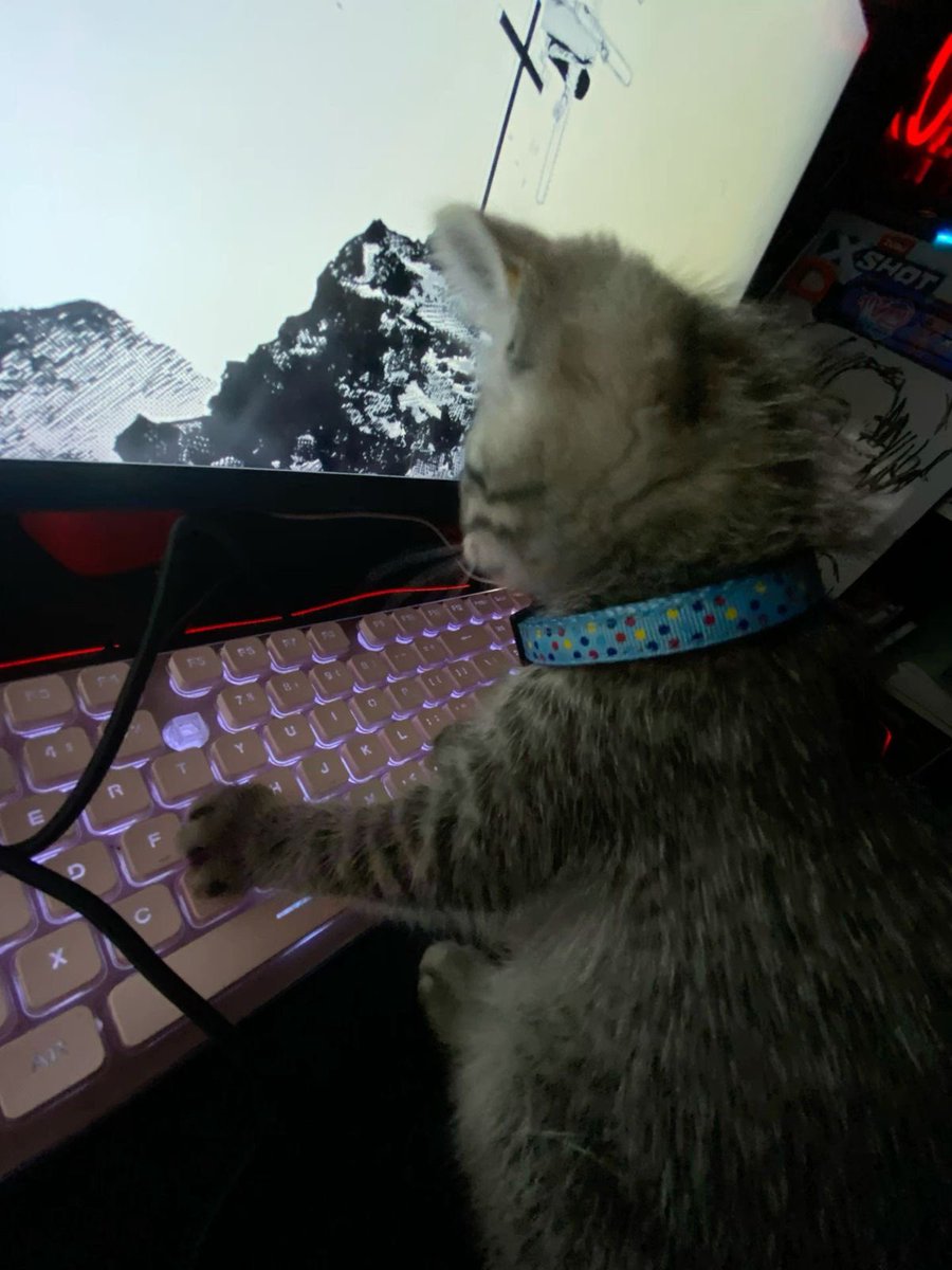 rena ✮ tweet media