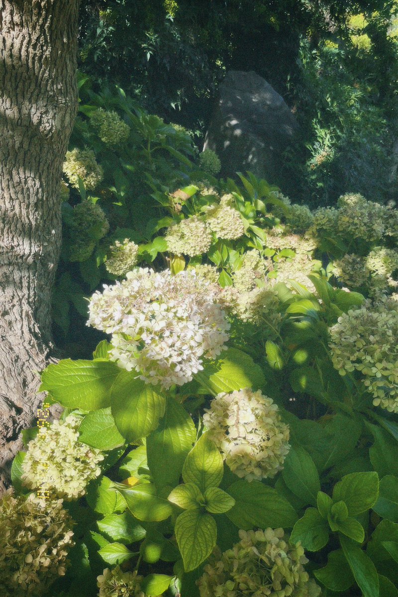 Raw Fish 🐟 tweet media