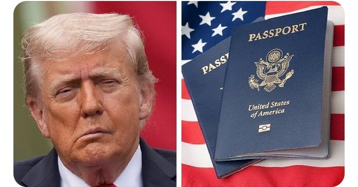 Orlando Curioso tweet media