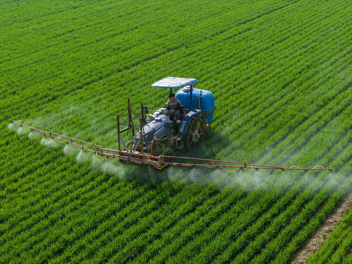 NiceYa🇨🇳 tweet media