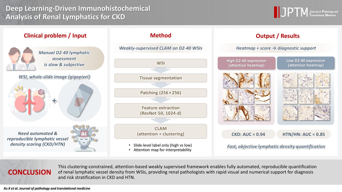 Journal of Pathology and Translational Medicine tweet media