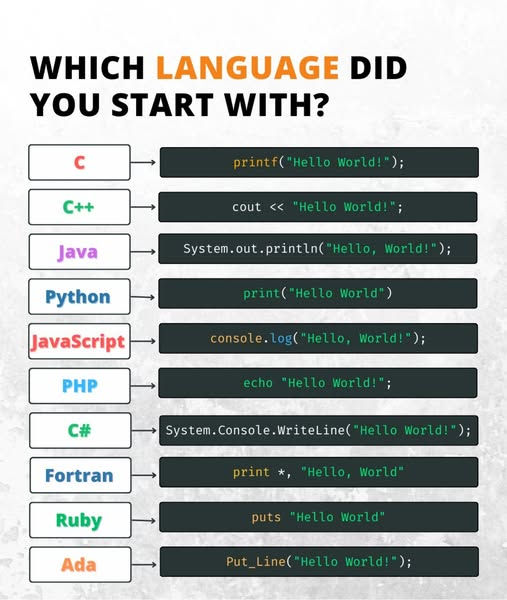 Python Developer tweet media
