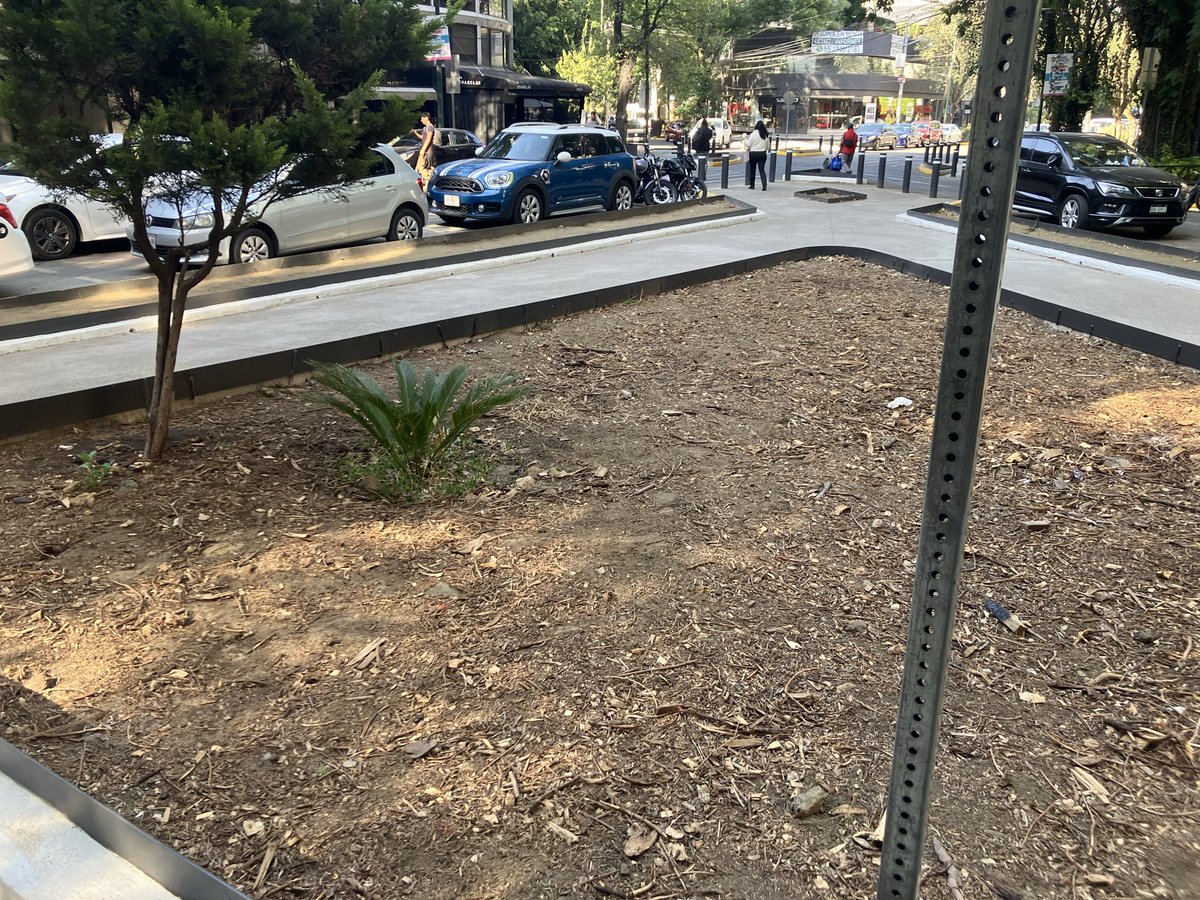 Radley Crown tweet media