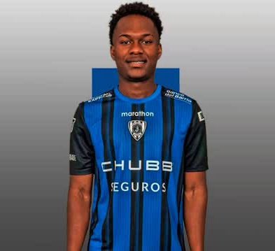 SofaScore do Verdão 🇳🇬 tweet media