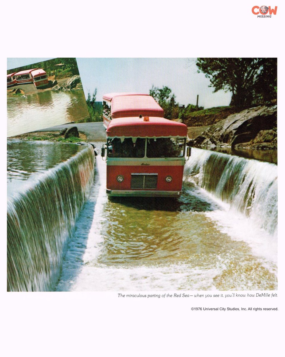 Cow Missing tweet media