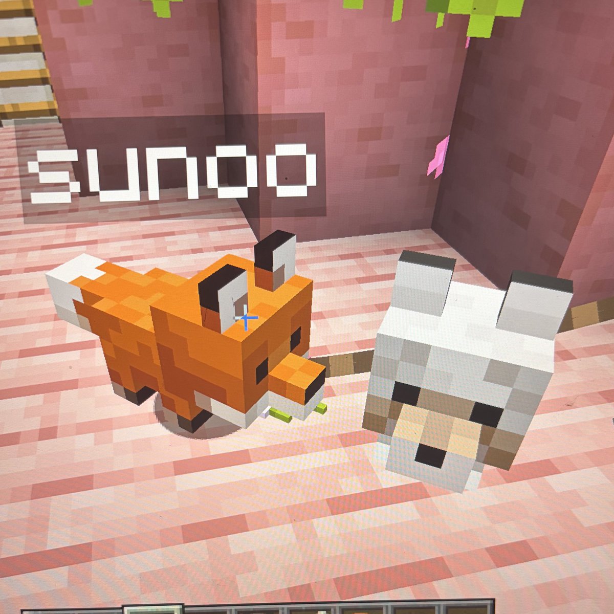 LUPITA !! 🧸 tweet media