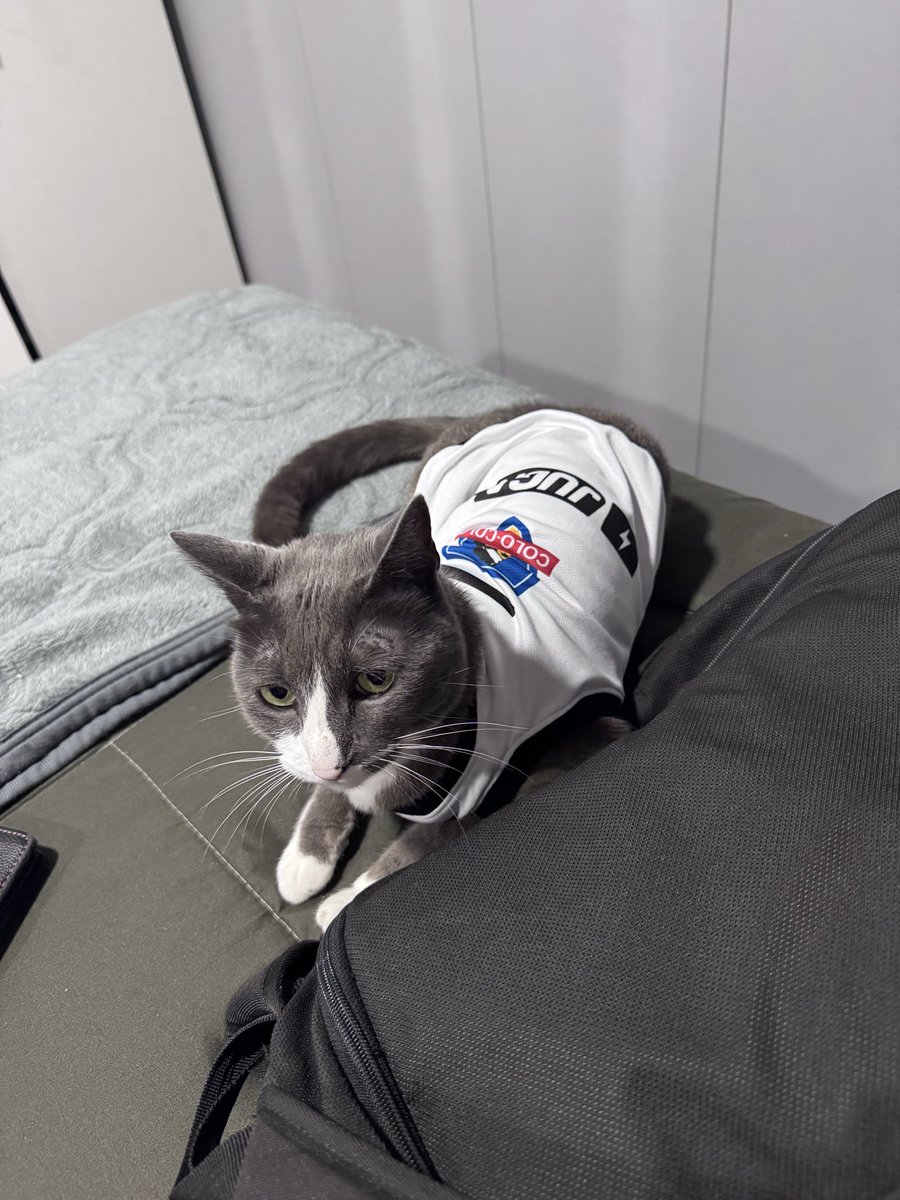 štårkįllēr tweet media