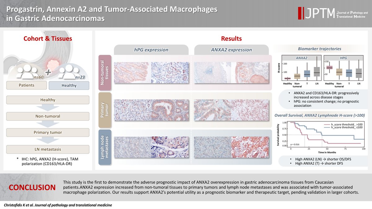 Journal of Pathology and Translational Medicine tweet media