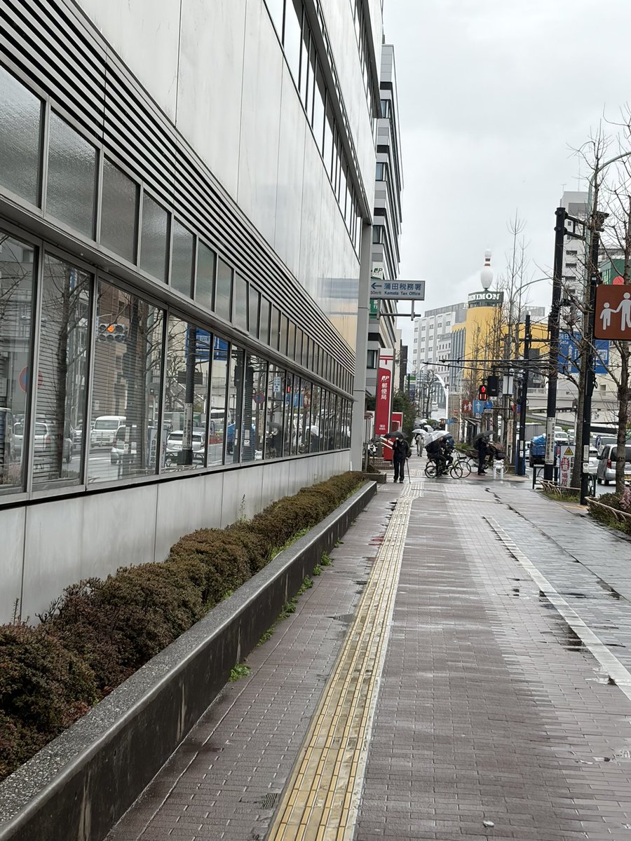 観音まさむね tweet media