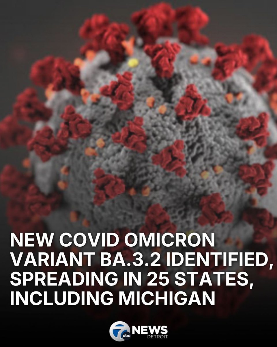 WXYZ Detroit tweet media