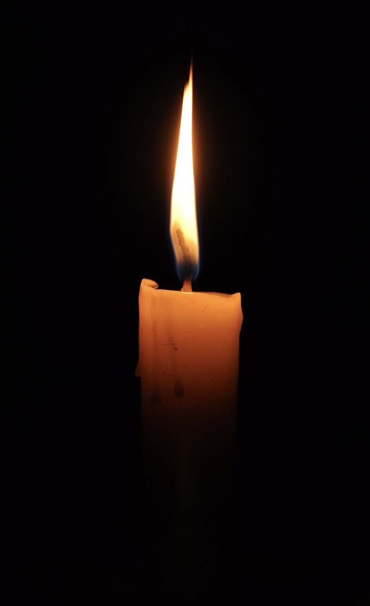 MissVEE💰 tweet media