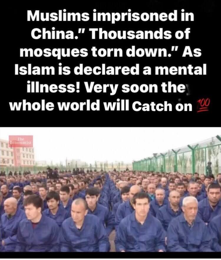 HipCheck tweet media