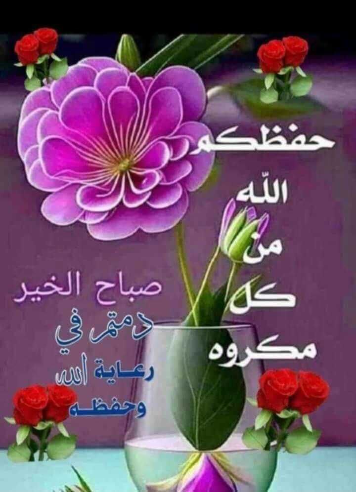 🤍 . ملاك الروح. 🤍 tweet media