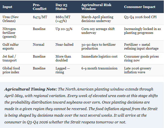 SyntheticSignals2026 tweet media