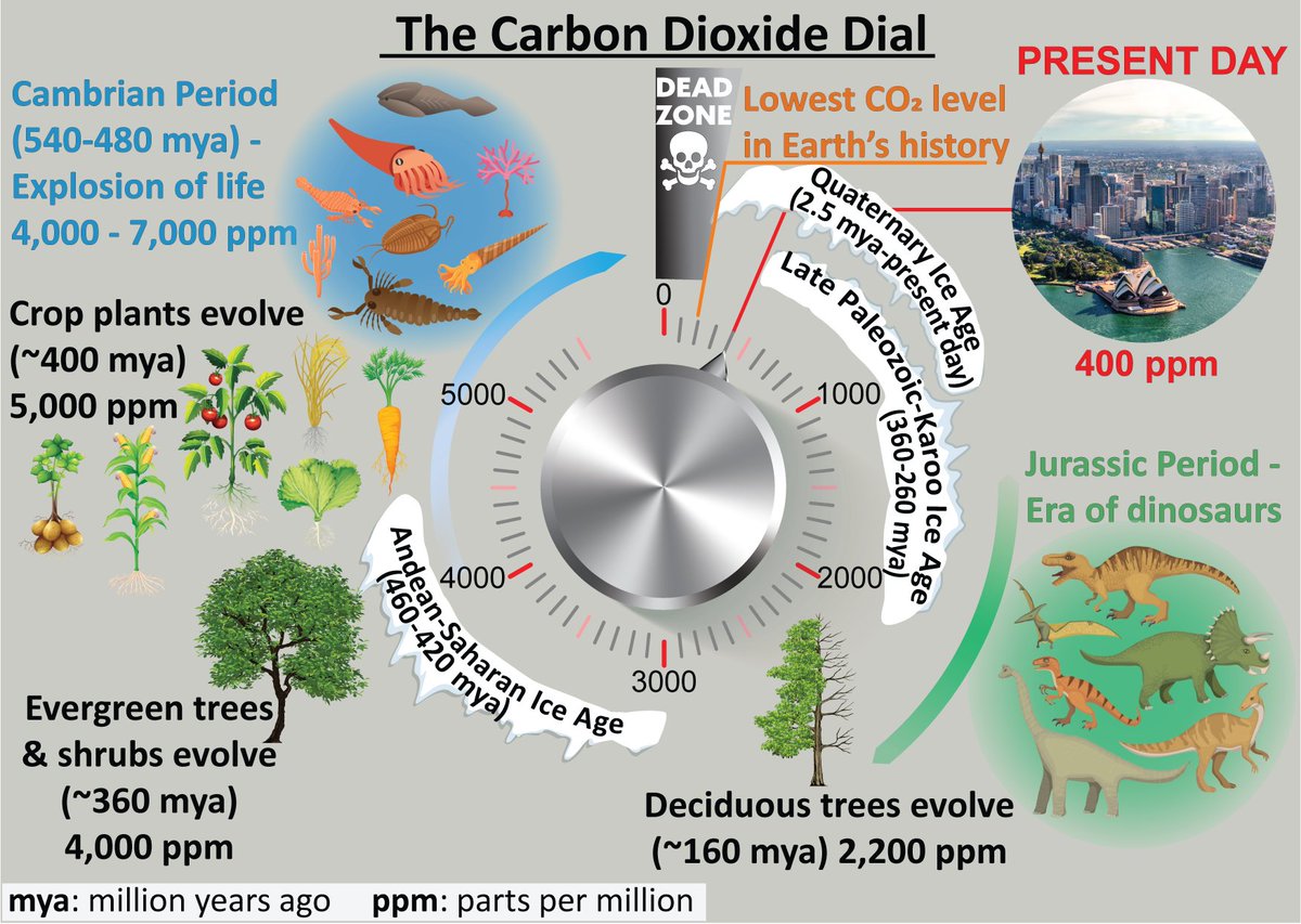 Dave W. Palmer, CD tweet media