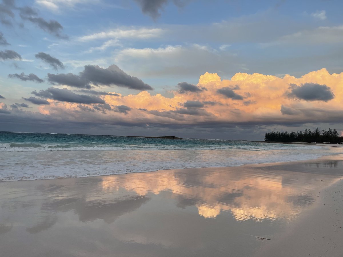 Griz Calderon tweet media