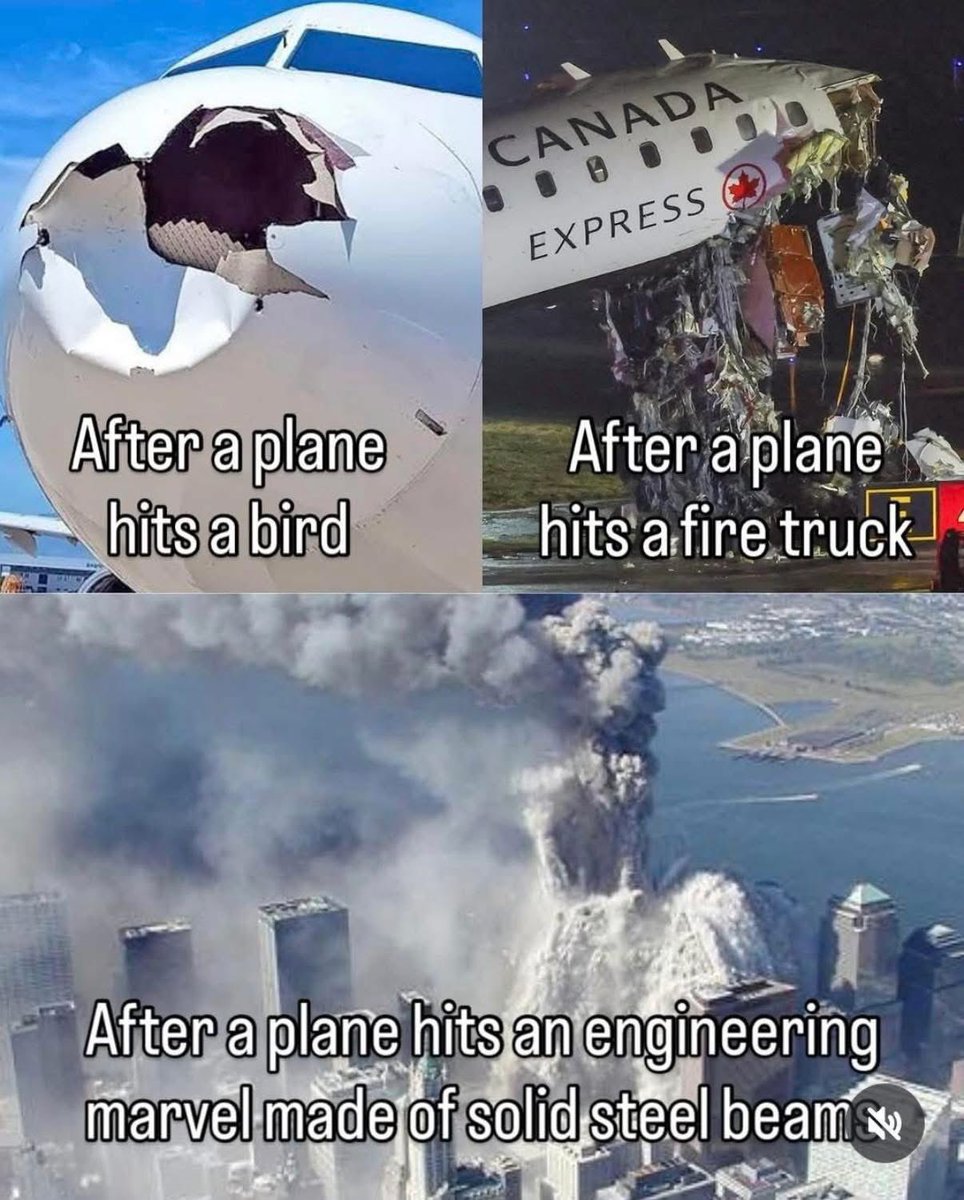 DK🇺🇸🦅🇺🇸 tweet media