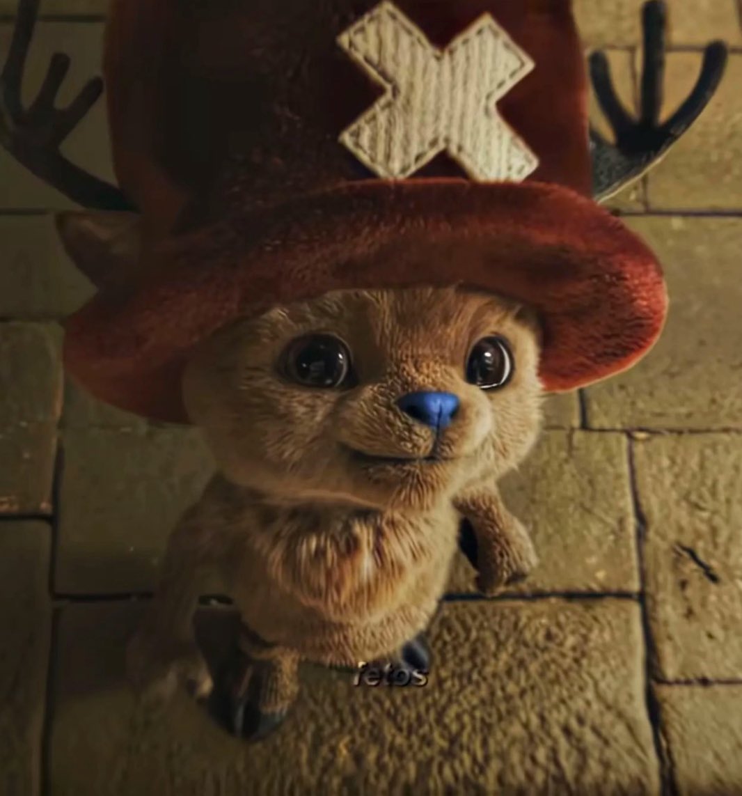 Caolan 🦆 tweet media