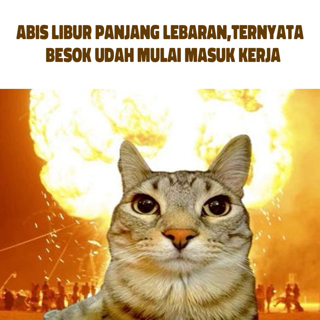 TOP Coffee tweet media